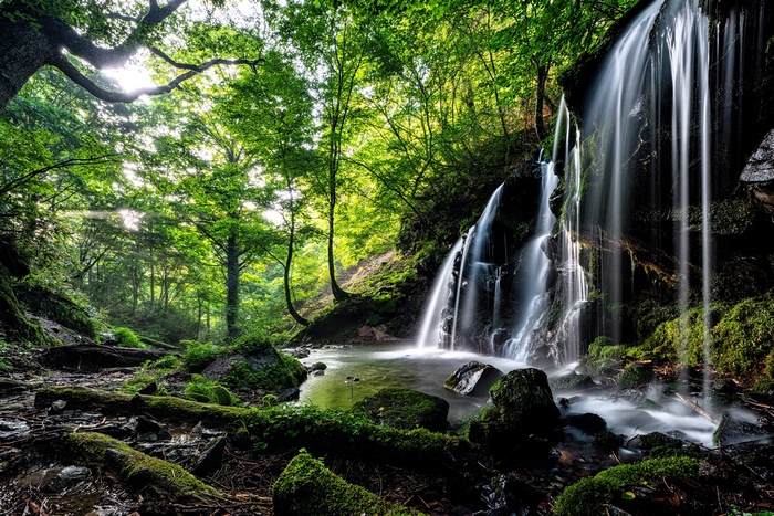 Waterfall in a Green Forest