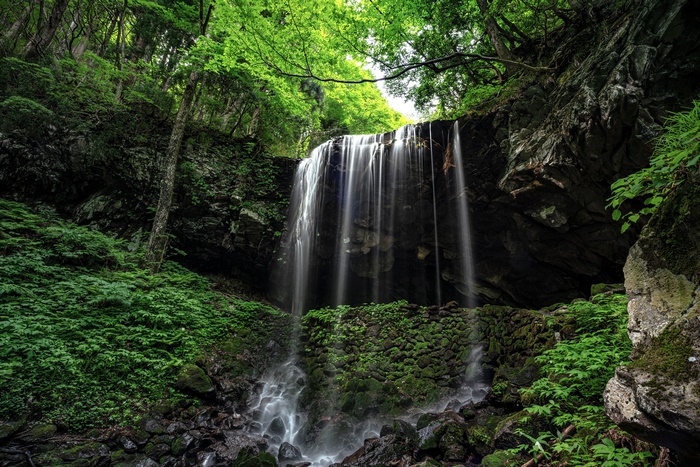 Waterfall in a Lush Green Forest