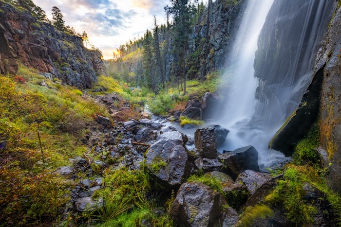 Waterfall cascading over rocks in a forest