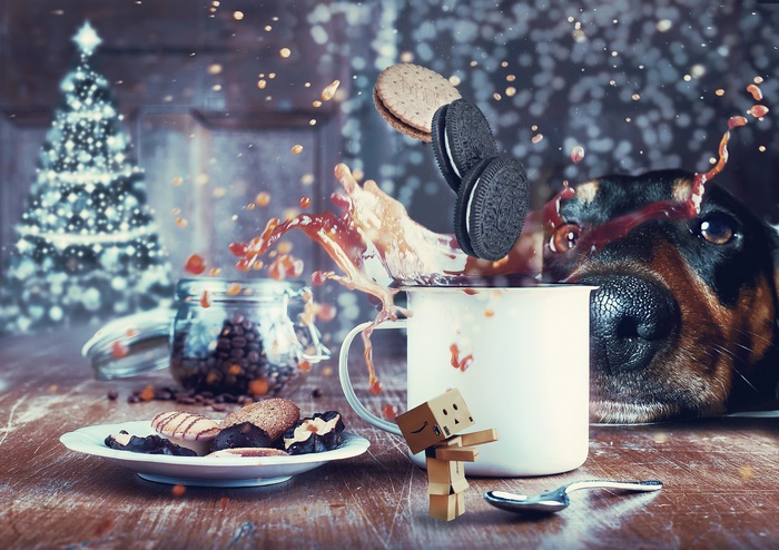 Dog, Cookies, and Coffee Splash with Christmas Tree