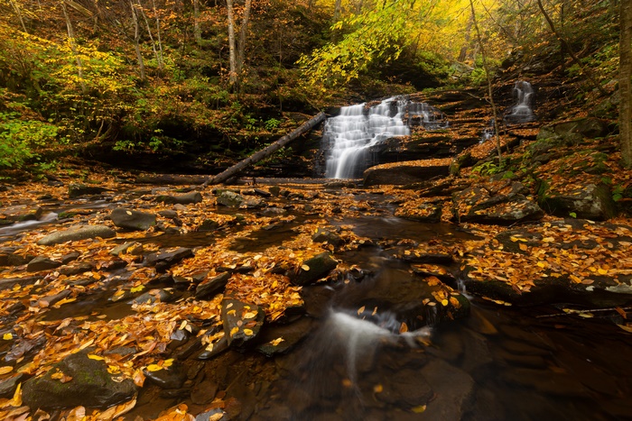 Waterfall with Fall Foliage and Stones