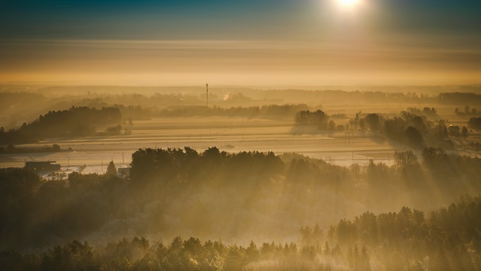 Misty landscape with sunbeams and trees
