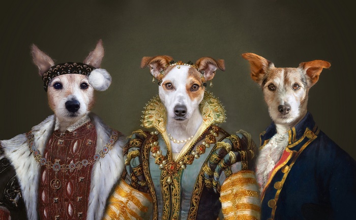 Three dogs in historical costumes