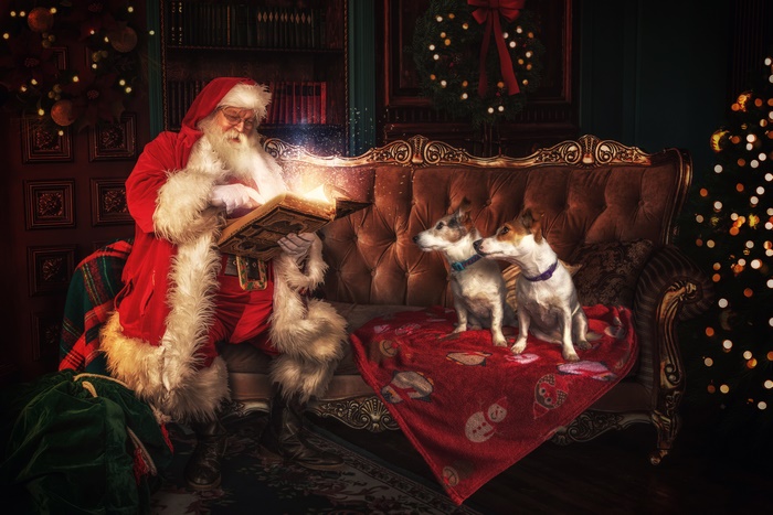Santa Claus reading a book with two dogs on a sofa