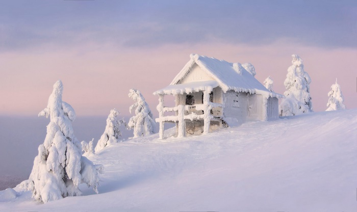 Snow-covered hut and fir trees in winter
