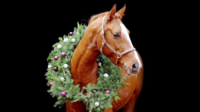 Horse with Christmas Wreath and Ornaments 4K