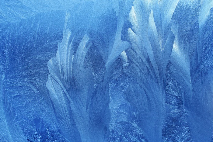 Frost Pattern on Window