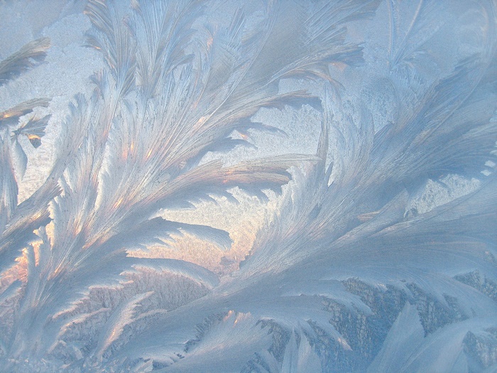 Frost patterns on a window
