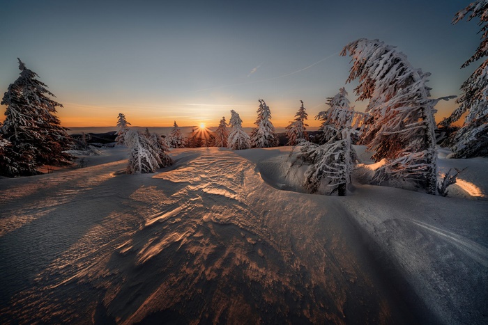 Winter sunset over snow-covered spruce trees