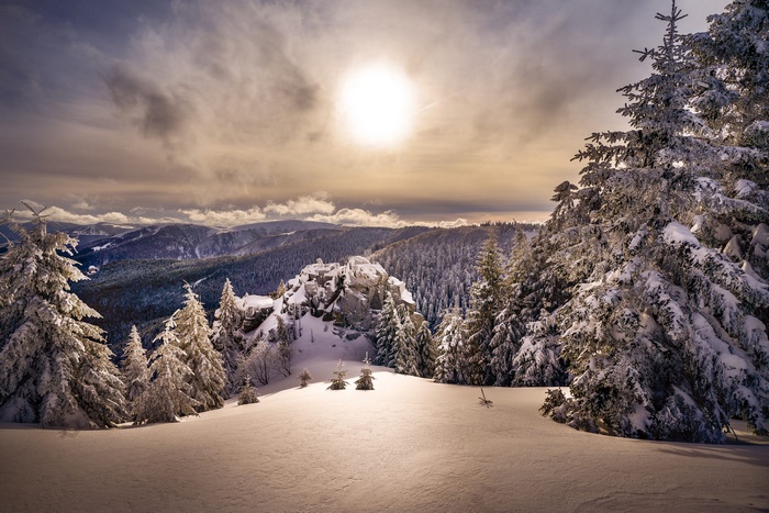 Winter mountain landscape with snow-covered trees and sun