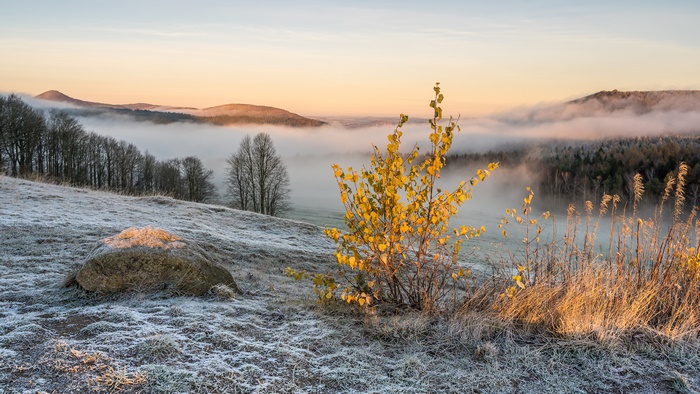 Winter Foggy Mountain Landscape with Frost