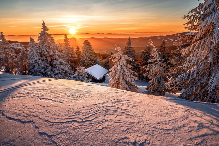 Snowy forest with a hut at sunset
