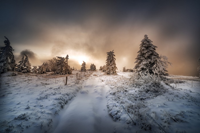 Snowy path through a winter forest at sunset