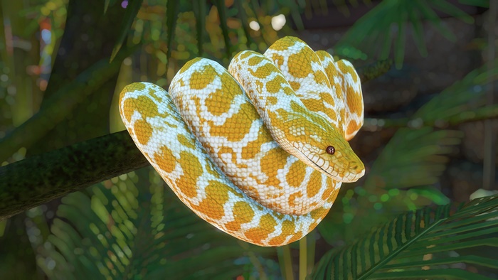 Yellow and white python coiled on a branch