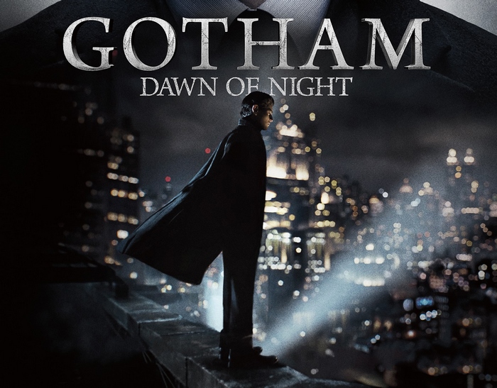 Gotham Dawn of Night