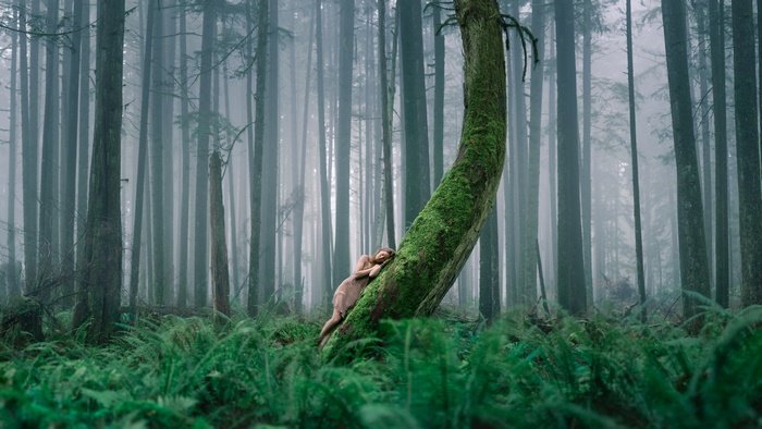 Woman leaning on mossy tree in foggy forest