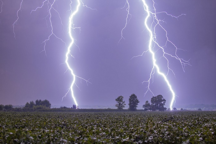 Lightning strikes over a field