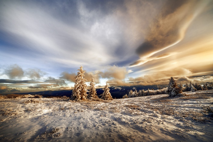 Winter Landscape with Snow-Covered Trees and Dramatic Clouds