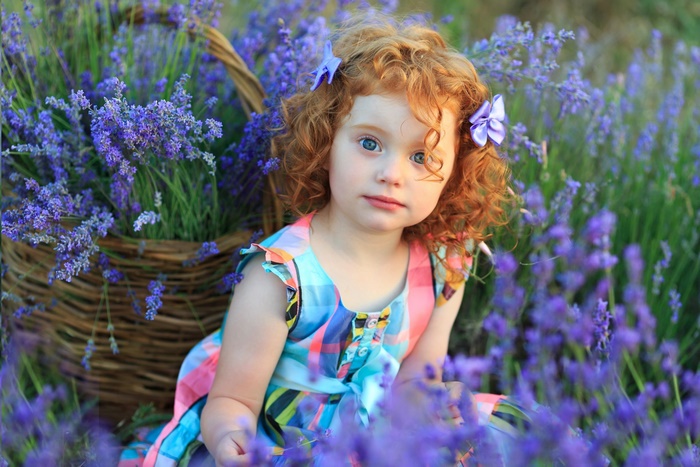Young redhead girl in a lavender field with a basket
