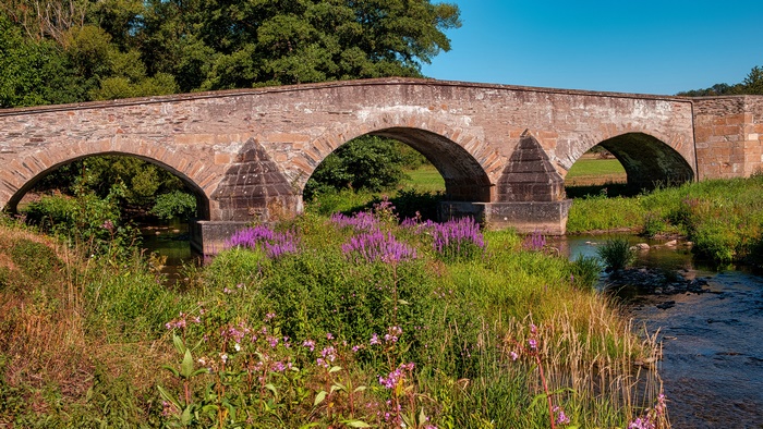 Stone arch bridge over a river with purple flowers