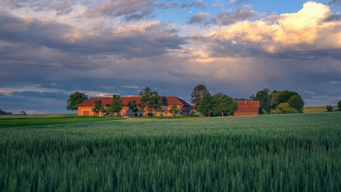 Farm buildings in a green field under a cloudy sky
