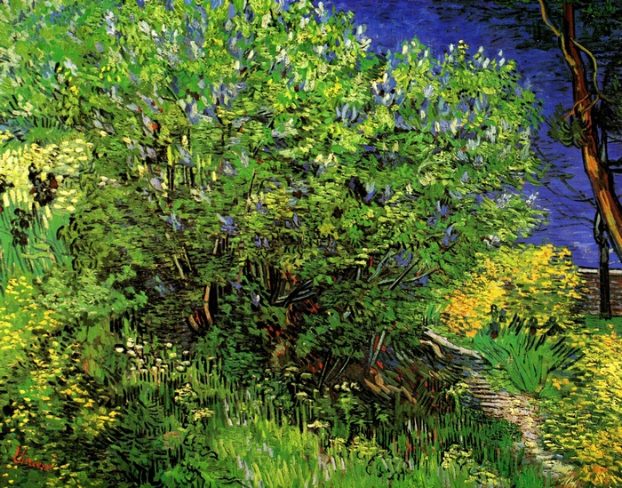 Garden with Lilacs and Yellow Flowers