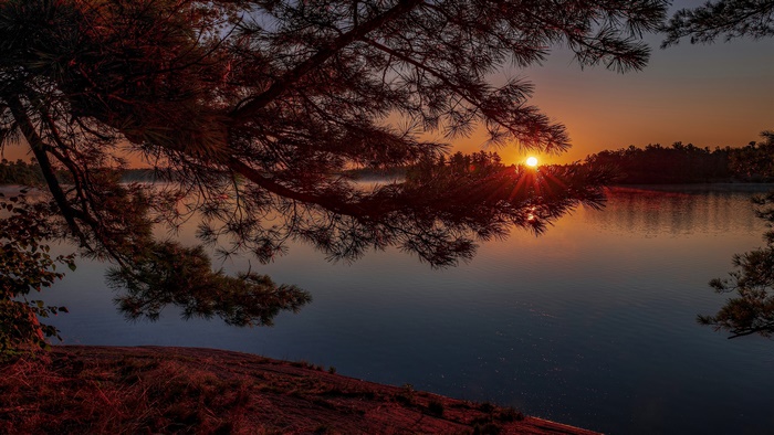 Sunset over a lake with pine tree branches