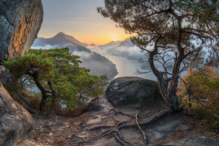 Sunrise over misty mountains and lake with pine trees