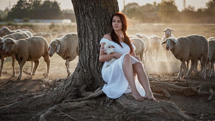 Woman holding lamb with sheep in background