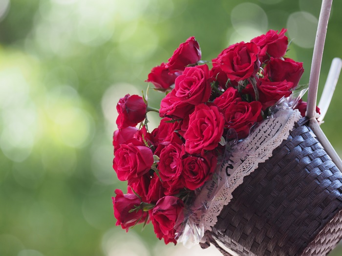 Red Roses in a Basket with Bokeh