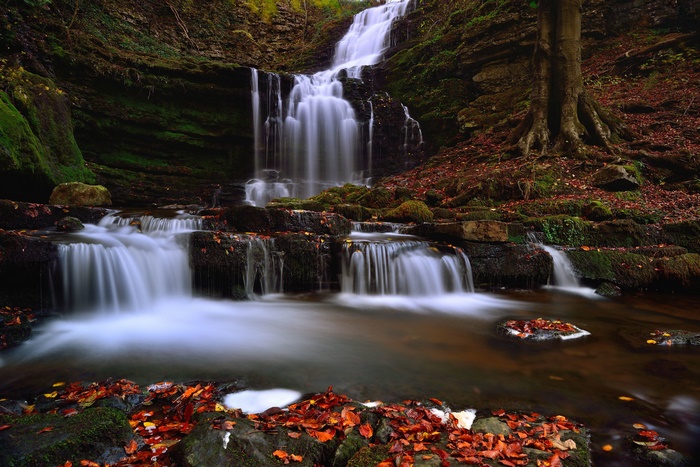 Waterfall in a forest during autumn