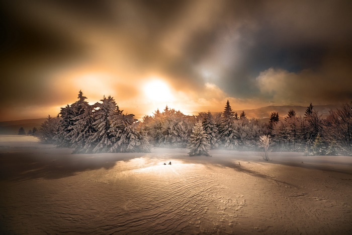 Winter forest at sunset with snow
