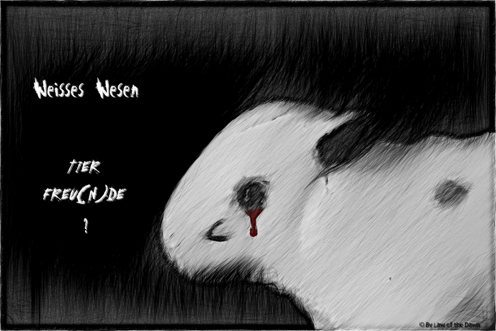White creature with blood from eye