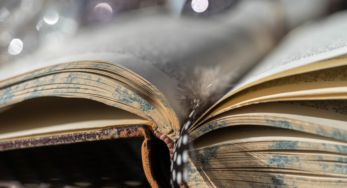 Close-up of an old open book with a feather