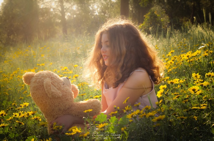 Girl with Teddy Bear in Yellow Flowers 4K