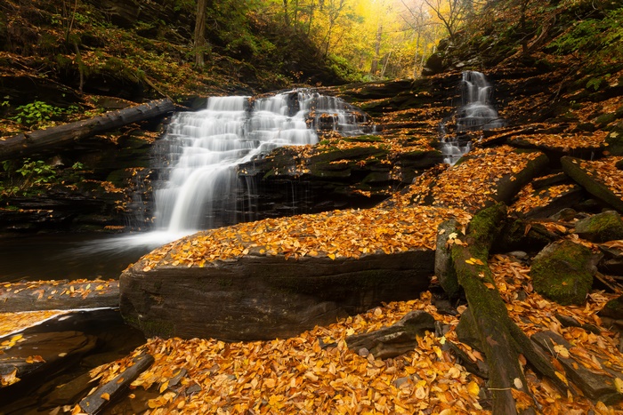 Waterfall in Fall Foliage