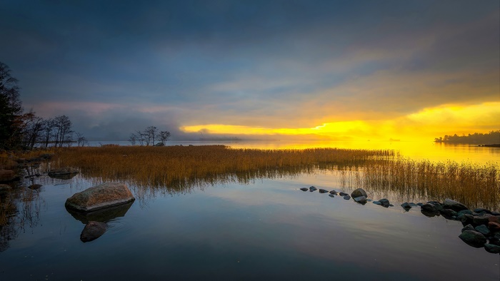 Lake with reeds and stones at sunset
