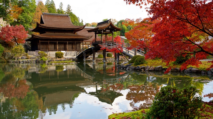 Japanese Garden with Pagoda and Autumn Foliage