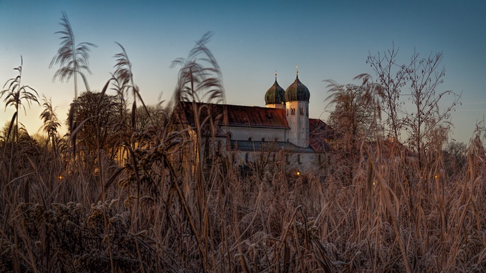 Church with twin domes behind frosted reeds