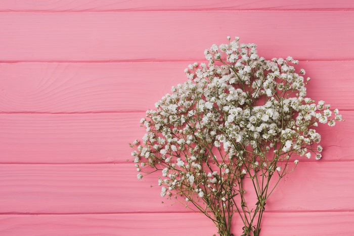 White Baby's Breath Flowers on Pink Wood