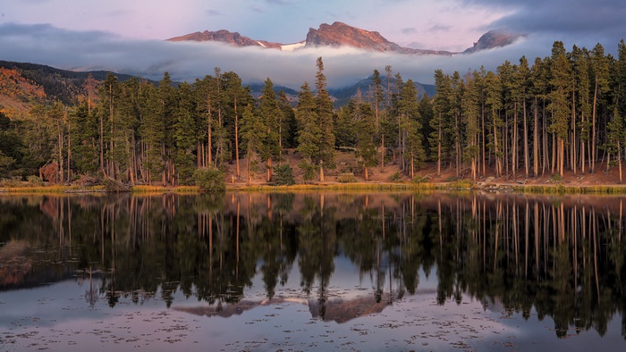 Lake reflection of pine trees and mountains with fog