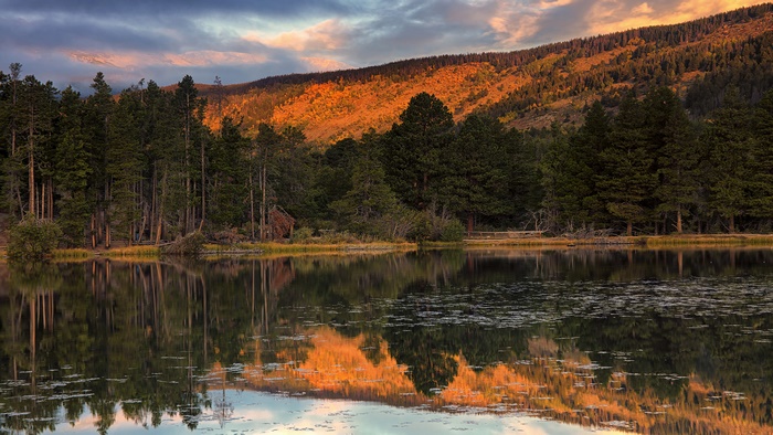 Lake reflection of autumn mountain and pine trees