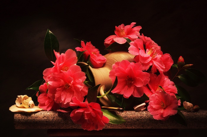 Camellia Flowers with Pitcher and Shell