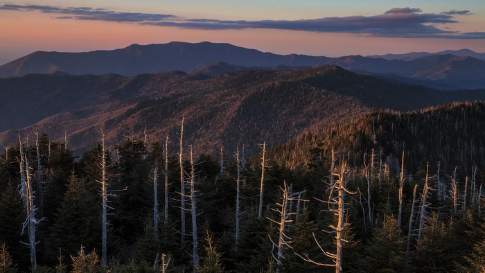 Mountain landscape with dead trees at sunset