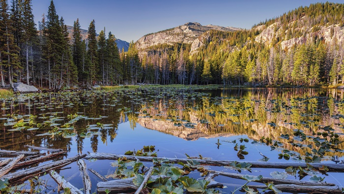 Lake with Lily Pads and Mountain Reflection