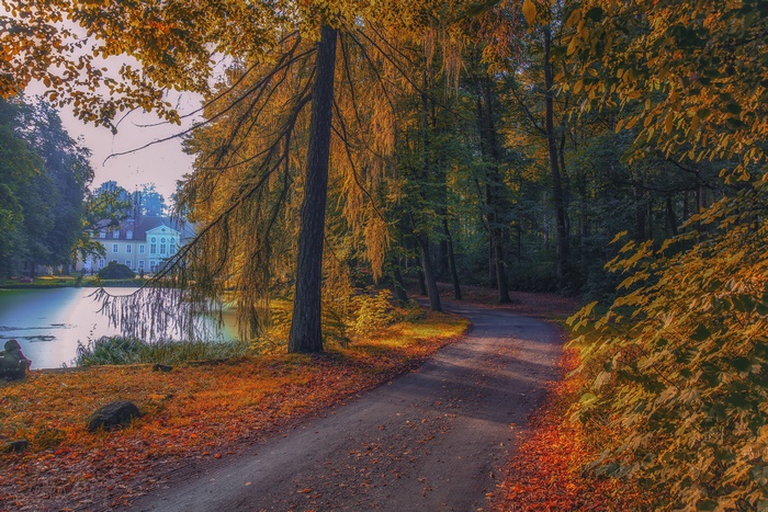 Autumn park with a lake and a building