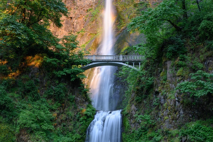 Multnomah Falls with a bridge and greenery