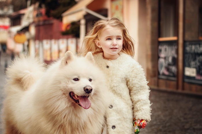 Girl with Samoyed dog on a street