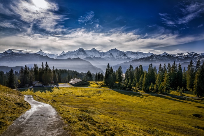 Alps Mountain Landscape with Cabins and Forest
