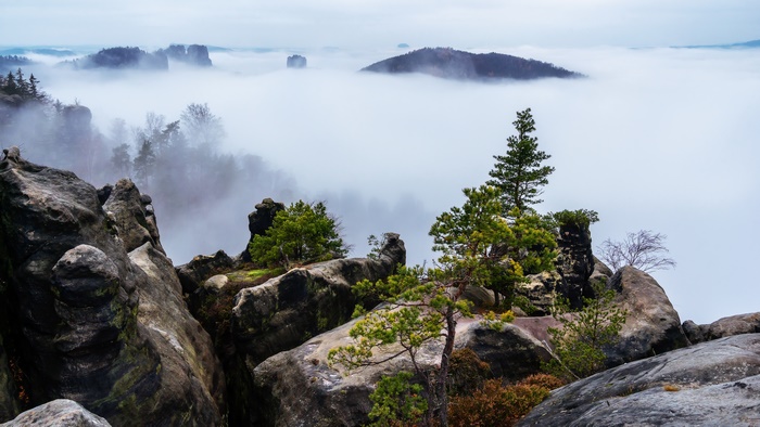 Misty mountains with rock formations and trees